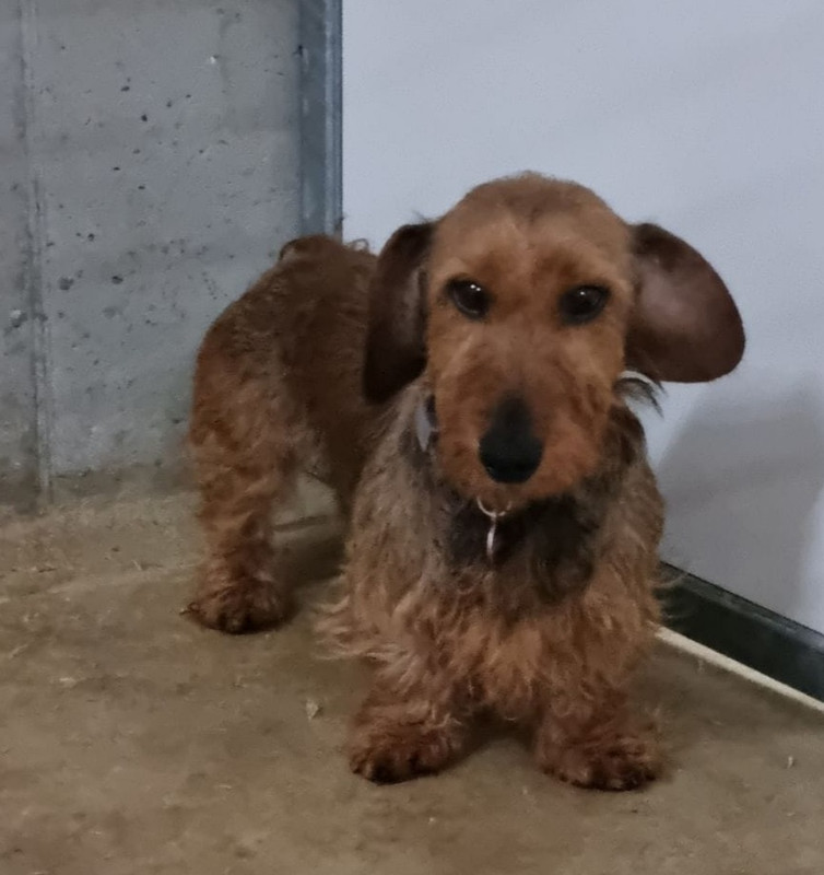 [Image: 20230729-204326.jpg]