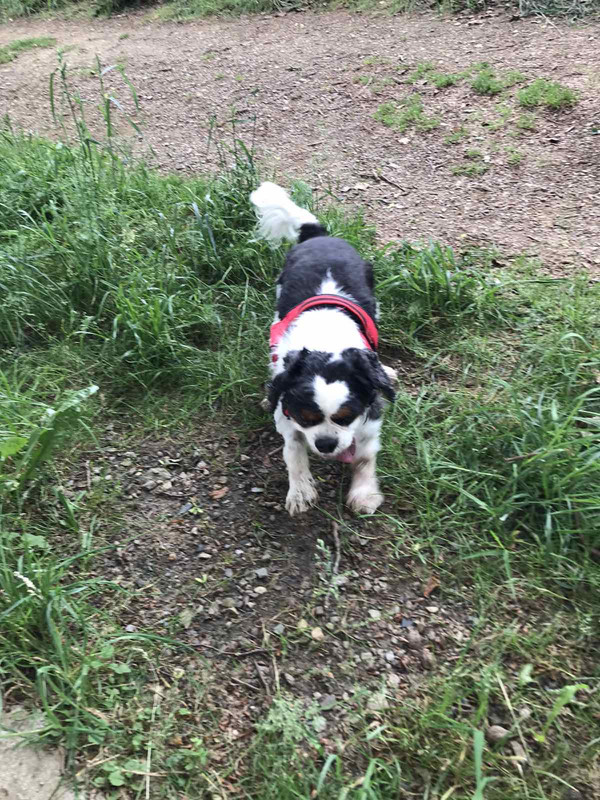 D133CA10-9E61-4E2C-AC82-CA3370F97A94