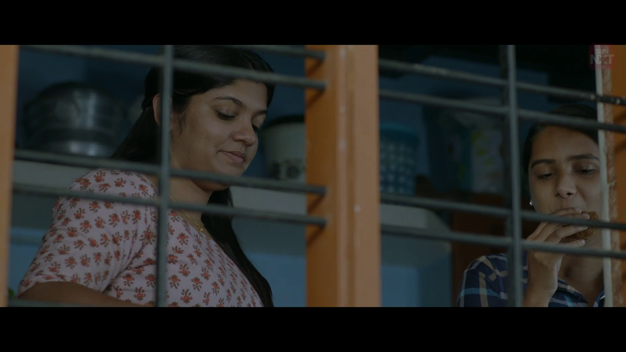 vlcsnap 2026 02 11 15h50m17s663