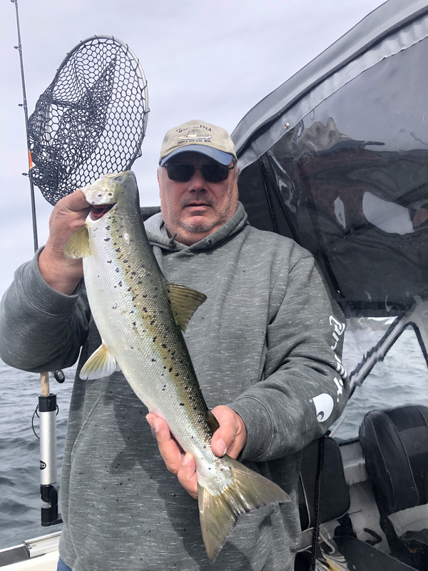 A32CBA33-0B84-46ED-8679-CF905BA71CC0