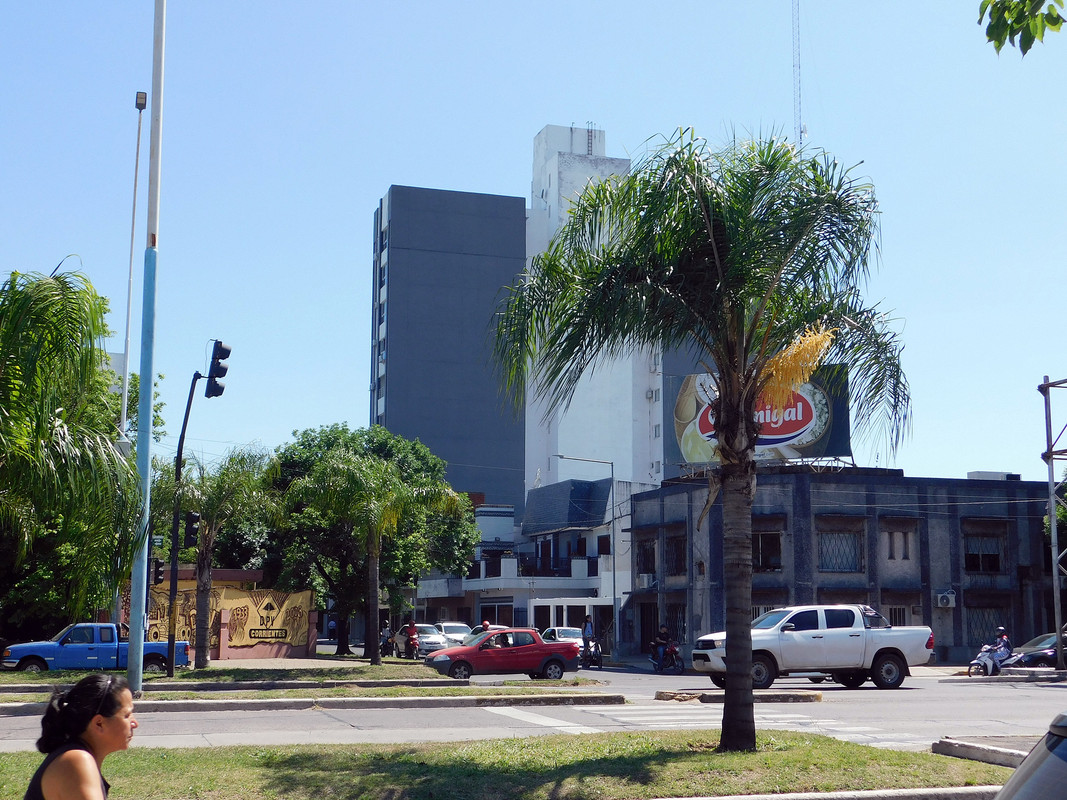 DSCN0520.jpg