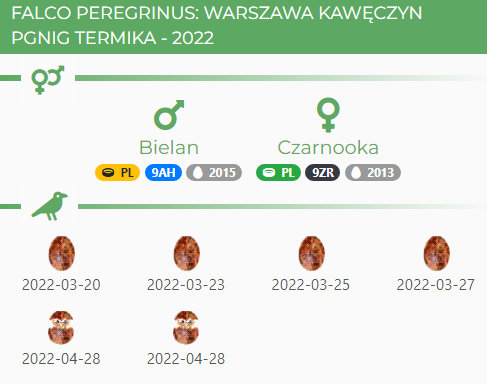 WARSZAWA PGNIG TERMIKA KAWĘCZYN Przechwytywanie-w-trybie-pe-noekranowym-29-04-2022-205746