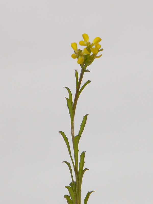 P1120143-0... (1024)