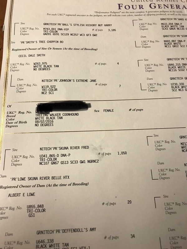 5D4C920D-32EB-4ABD-8C8E-495AE0D3128A