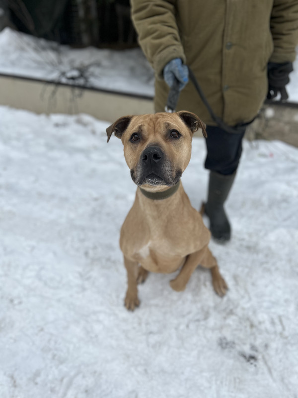 5C815A79-0303-4314-9810-4EB41CD16727