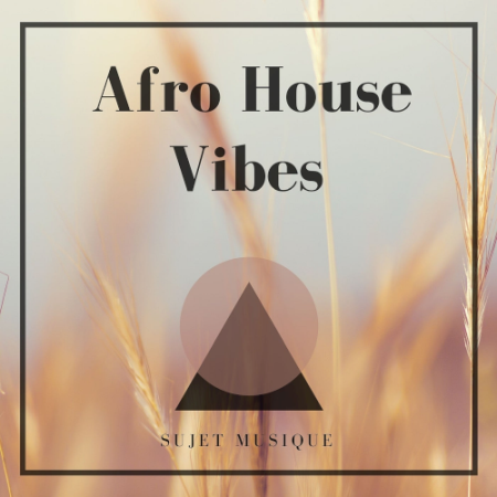 bc339073 aae0 4cf6 b271 a251a1cdf6e4 - VA - Afro House Vibes (2021)