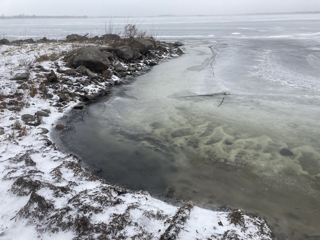 532E17B3-764E-4141-9172-E5CE6CA115F8