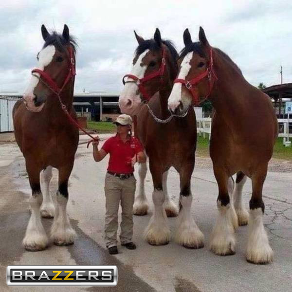 https://i.postimg.cc/0y7LdNpQ/brazzers.png