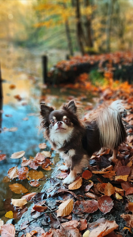 Lumii 20251107 133655122