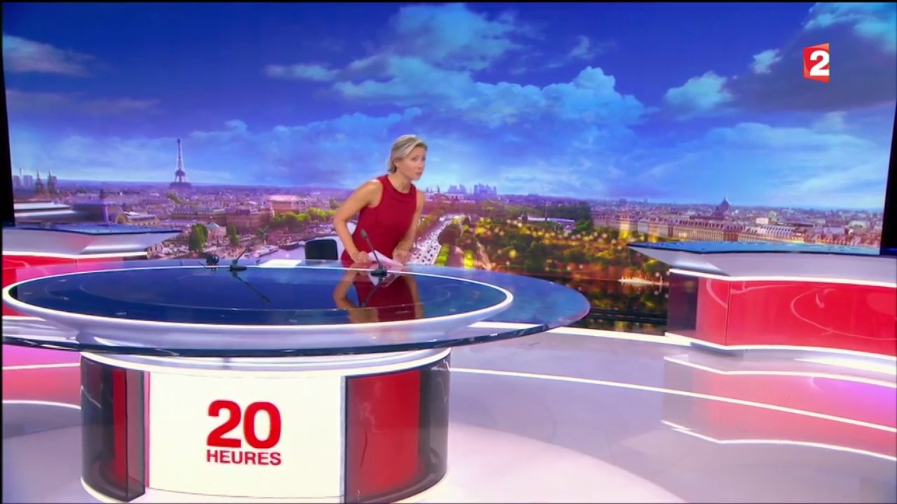 Anne-Sophie Lapix to edit 040917.mp4_snapshot_04