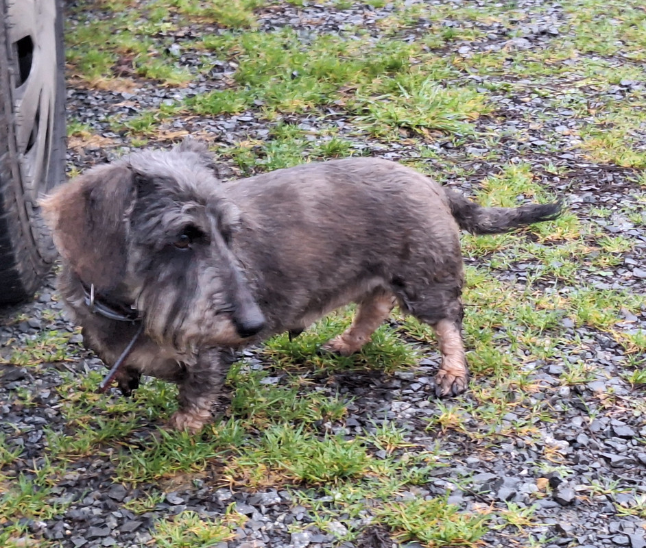 [Image: 20241215-164250.jpg]