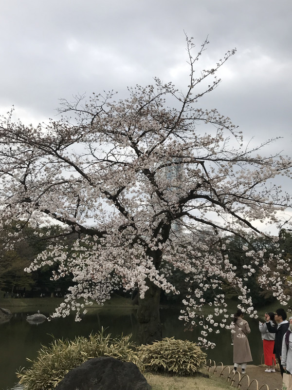 88A6F4C4-282B-4219-80A0-627663AE61C5