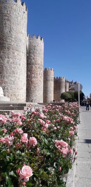 Tour por 3 países en 2 continentes (España-Portugal-Marruecos) - Blogs - PRIMERA ETAPA: Madrid, Avila, Salamanca, Ciudad Rodrigo. (12)