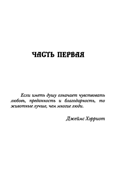 p0006