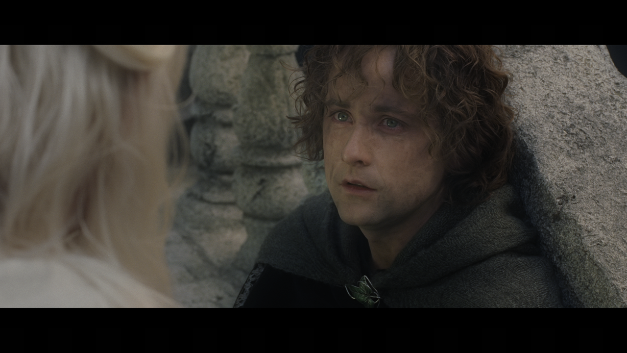 The Lord of the Rings- The Return of the King (EXT.) PT. 2.mkv_snapshot_00.36.24_[2020.12.19_21.40.5