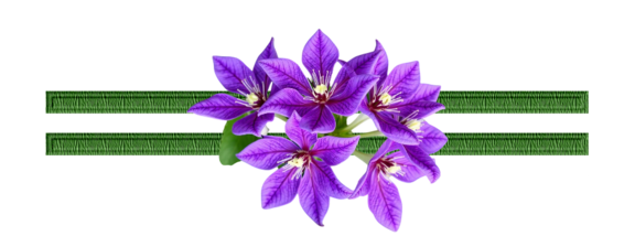 7101512-A7w-GHj26-1.png