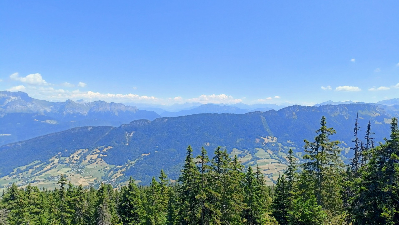 IMG20250711135857 (Large)