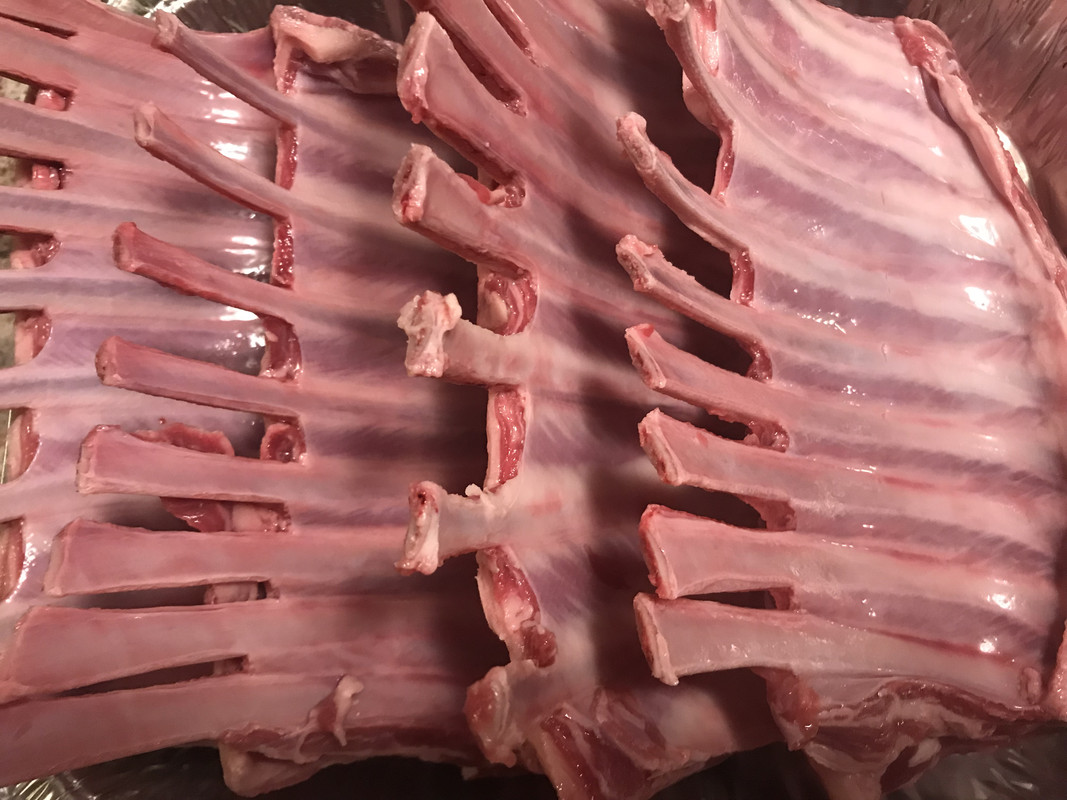 7F46E676-F806-4771-942A-5005C8628147