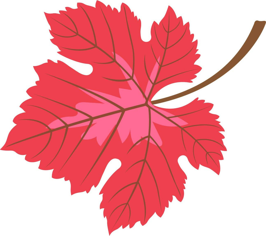 61JYk2jGAtL._AC_SL1294_