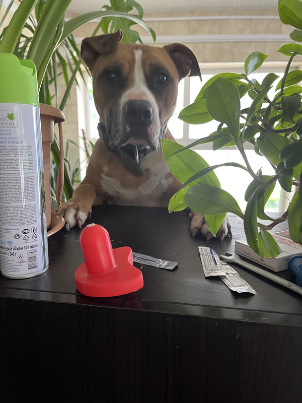 0B7A27FE-119D-4028-96A1-DE285ABEE311