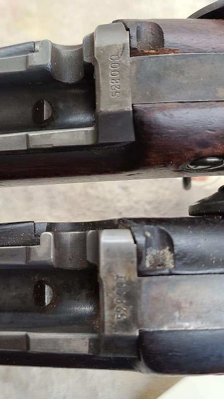 5B4A8D7A-3E47-4B7B-8E82-5206F2B8441A