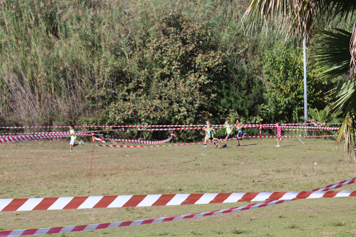IMG-0545