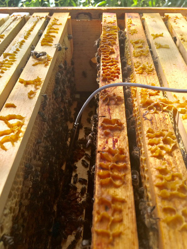 5A469A5D-5015-4441-BD49-1DA77740131C