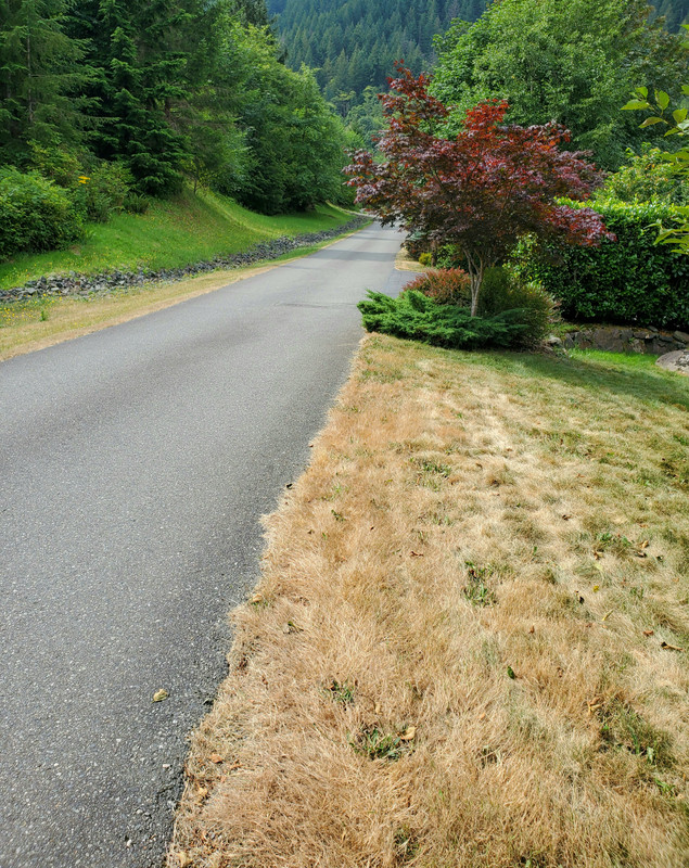 20200801-111120.jpg