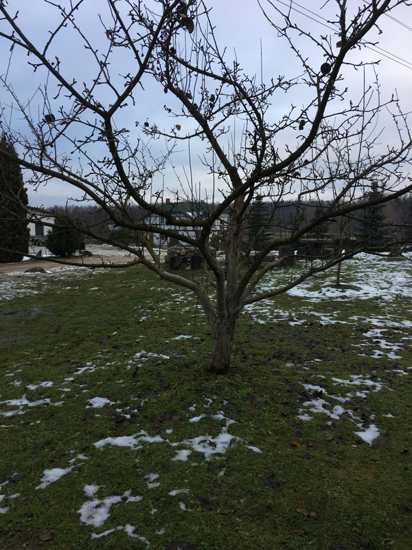 68378856-B730-4DA0-94B6-671DA25C28BD