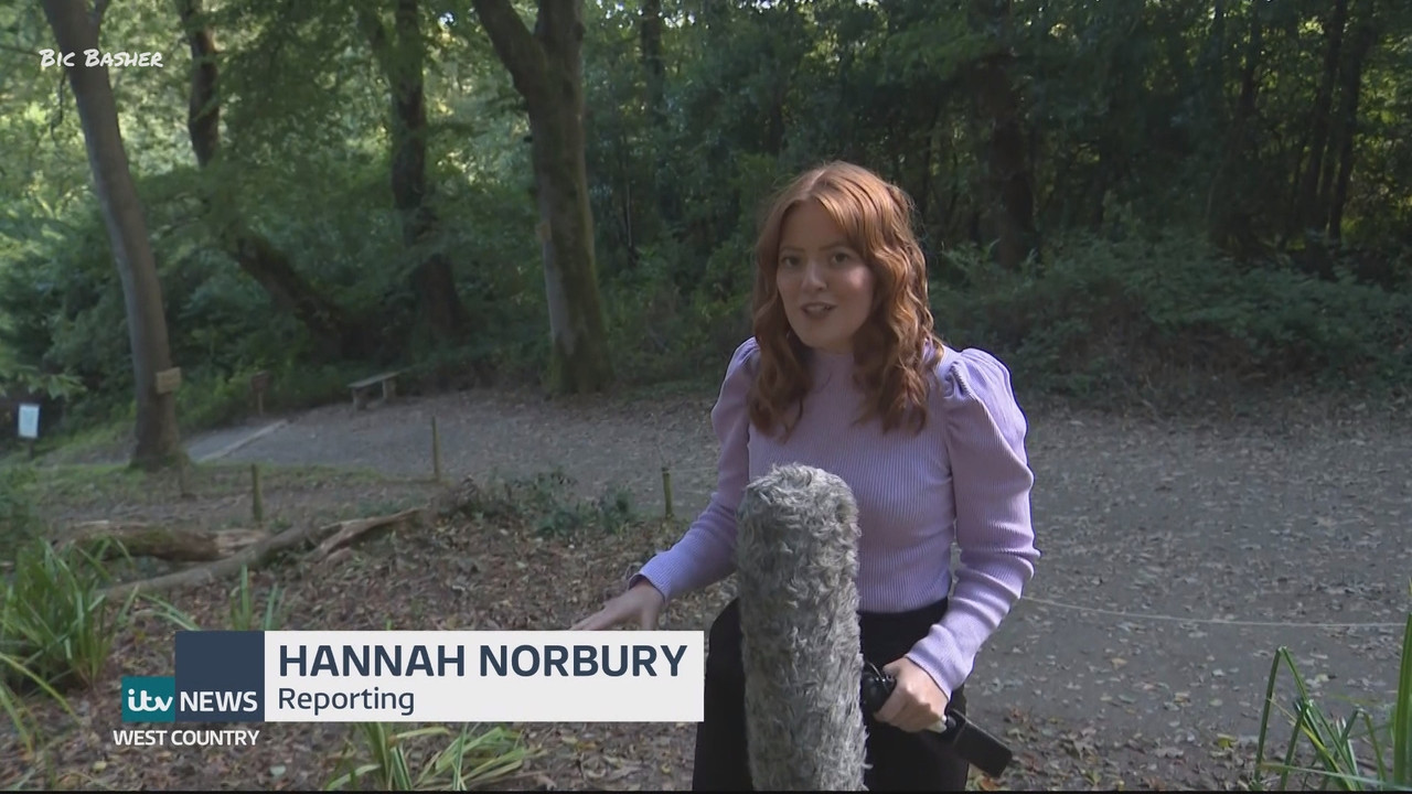 09.23 - 18.00.00 - ITV News West Country. Breaking news and current s....ts_snapshot_21.09.223