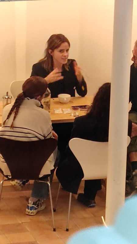 emmawatson-photogallery.blogspot.com (2)