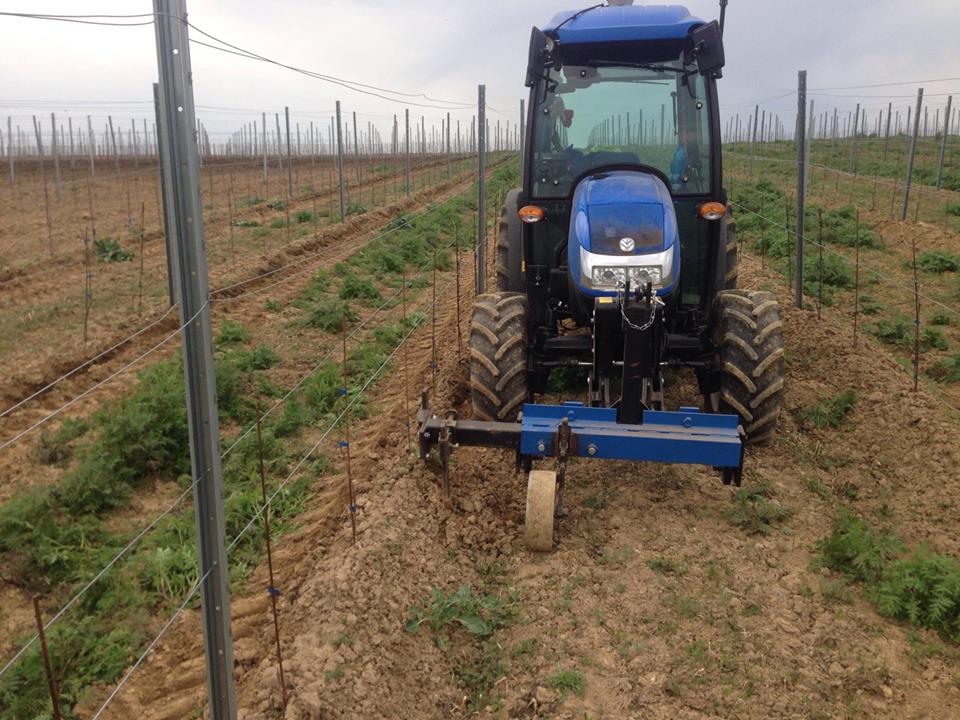 12980598_10204518611883547_559154526_n