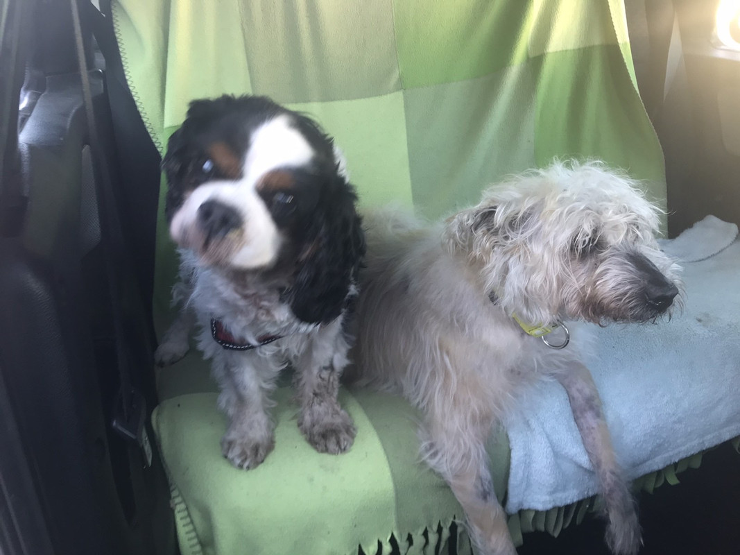 53994BDB-05FD-42BC-9B4C-B2AE1064105C