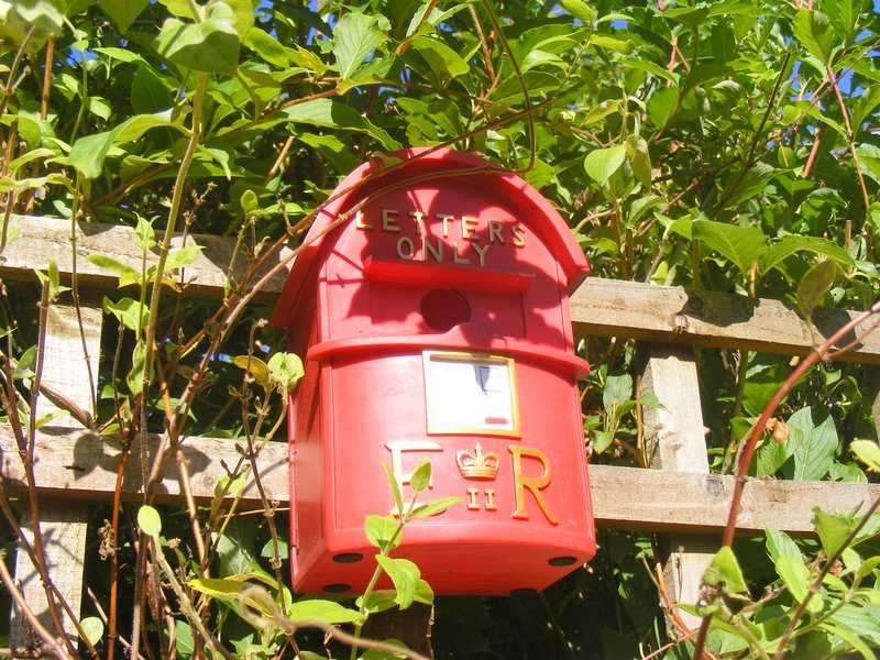 DSCF0347.jpg