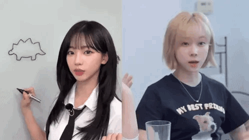 yap yap yap yap yap yap yap