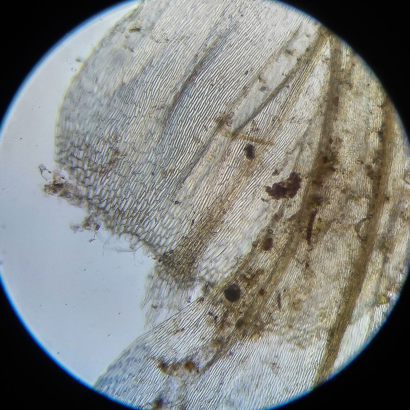 IMG 20250614 122307 HDR