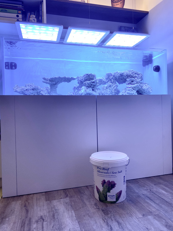 EF375C55-5845-42A5-A436-099D6A6002A4