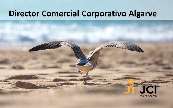 Director Comercial Corporativo  Algarve