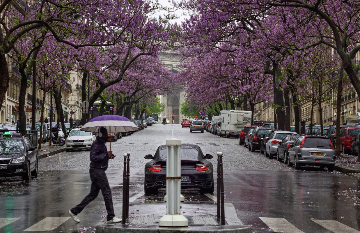 purple-street-dis1.jpg