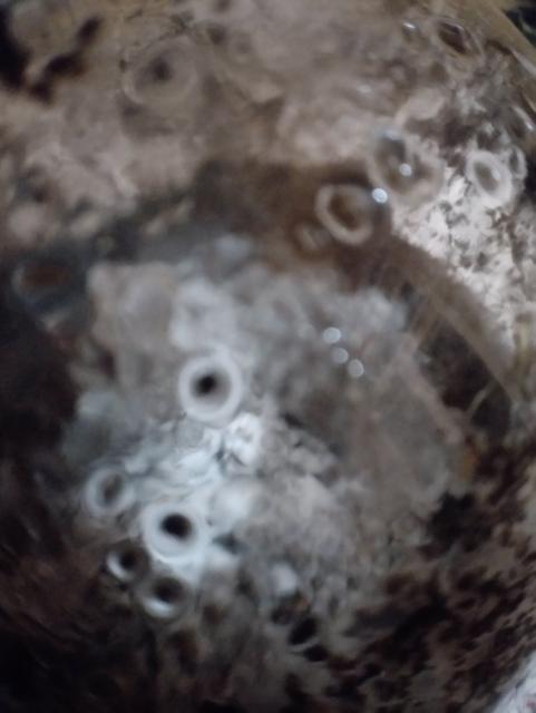 IMG-20181202-220732.jpg