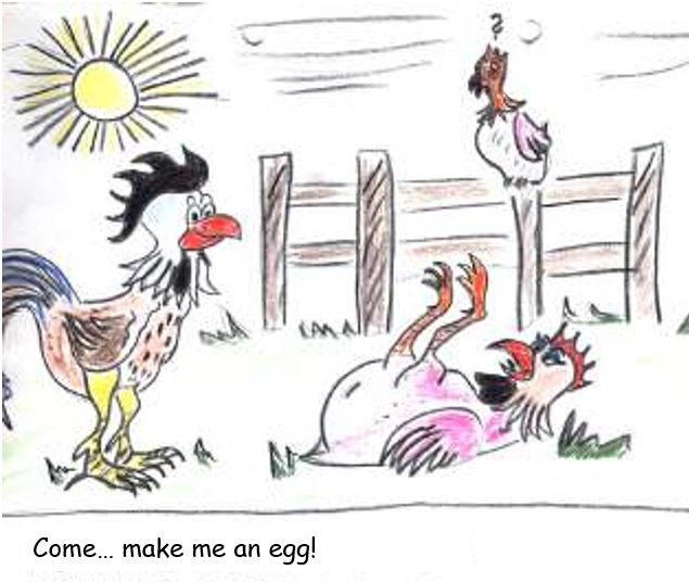 Chicken.jpg