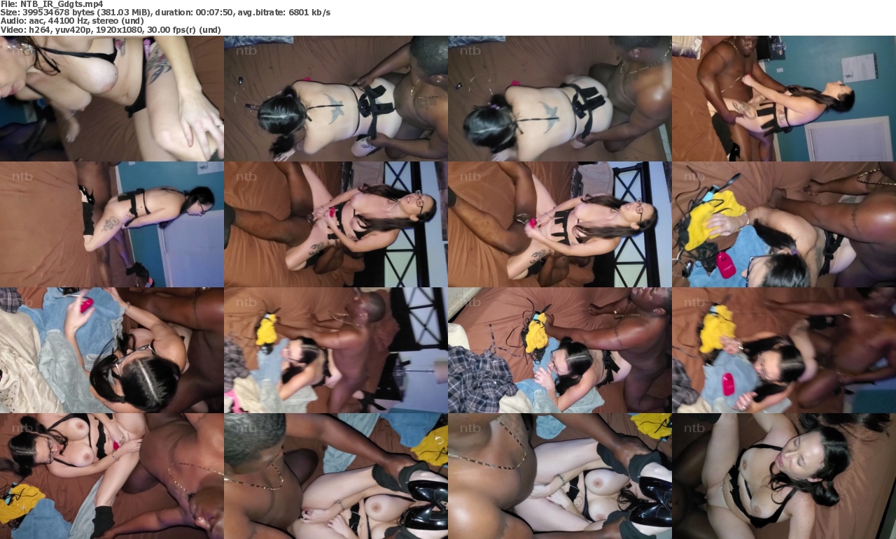 16042024084451screenshot