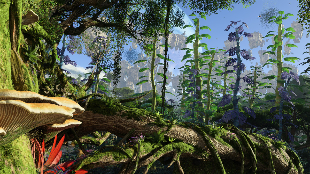 afop 2026 01 10 05 16 56 633