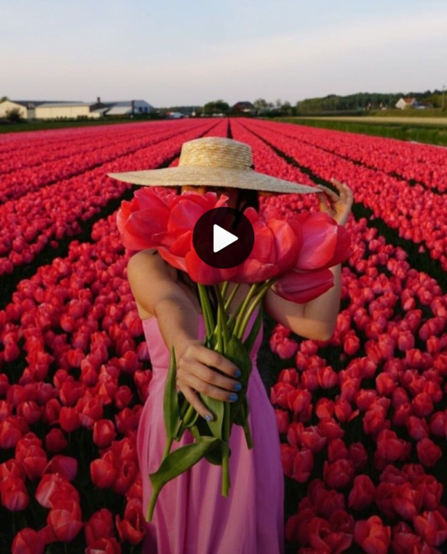 Screenshot_20240609_203413_Pinterest