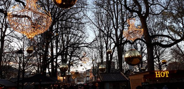 ALSACIA EN NAVIDAD Y MONTREUX CON PAPÁ NOEL - Blogs de Europa Central - 7 Dic: Adios Montreux, hola Ginebra! (25)