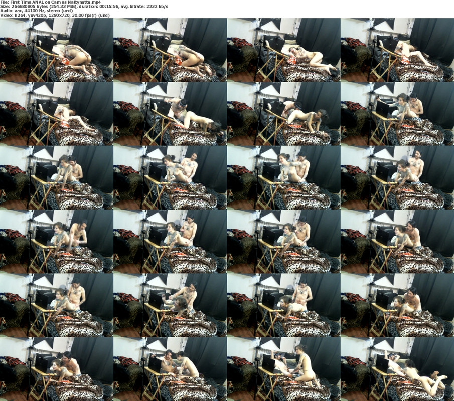 28082024081308screenshot