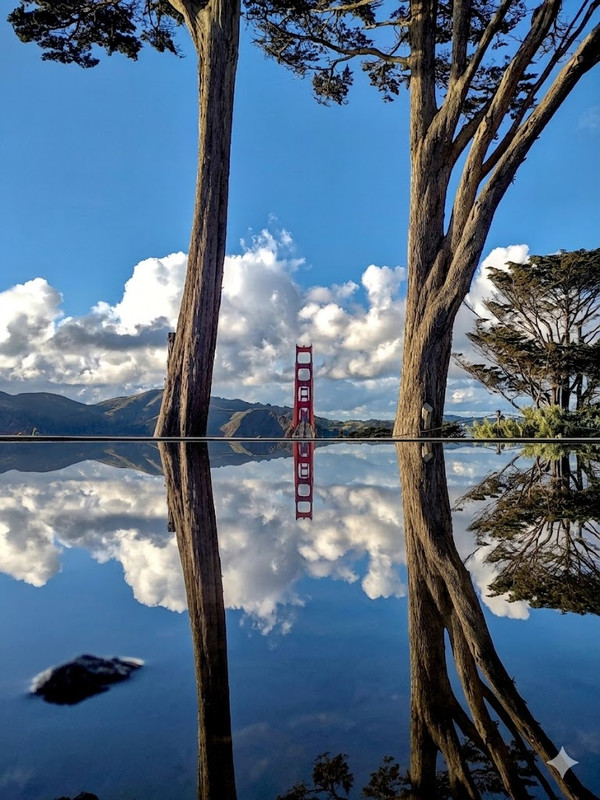 35f10ddf 215f 46bd 82a5 18a7163352aa