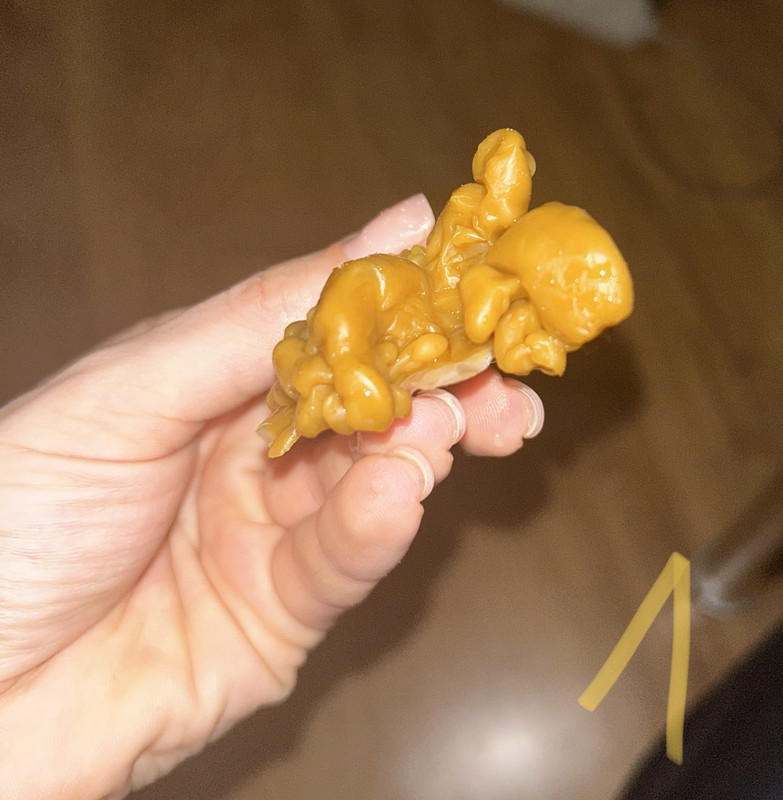 584F59CB-87FA-4DA5-8D05-D4FE4F3C97CC