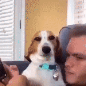 daily-gifdump-3393-08.gif