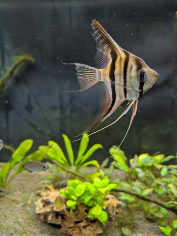 PXL 20260201 170540162